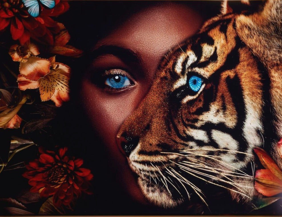 Eye of the Tiger Wall 3D Decor